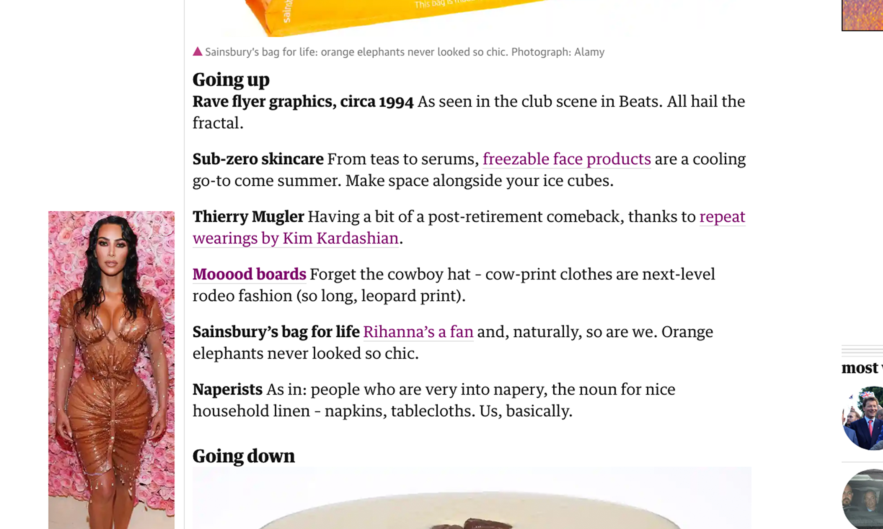 Sainsburys Bags Guardian article detail Susan Robertson Design